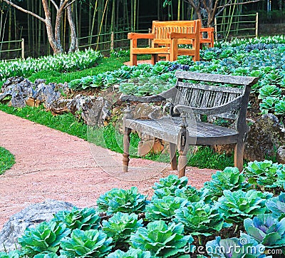 Chair in the garden