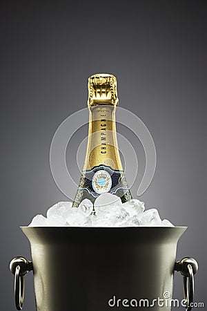 Champagne bottle in ice bucket