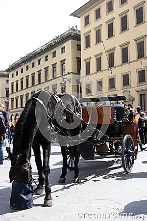 Chariot in the historical center of Florence