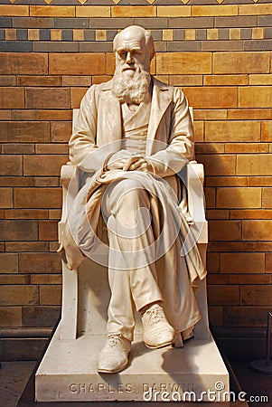 Charles Robert Darwin Statue in the Natural History Museum in London