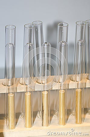 Chemistry glass test tubes