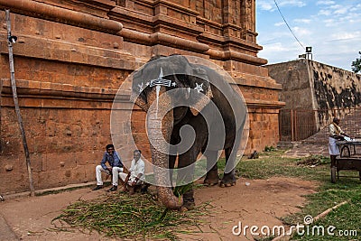 CHENNAI, INDIA-FEBRUARY 13: Blessing from elephant of India on F