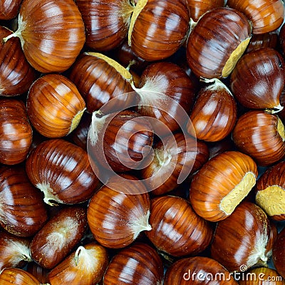 Chestnut raw autumn food, pattern background texture.