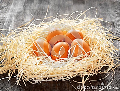 Chicken eggs in a nest