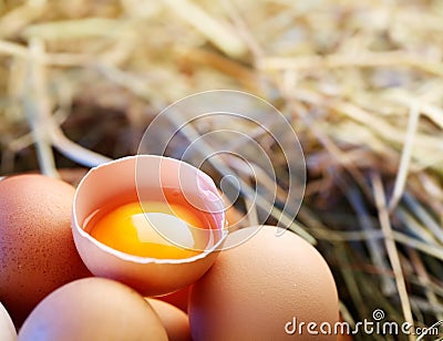 Chicken eggs in the straw with half a broken egg
