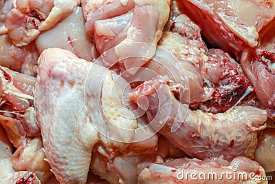 Chicken raw meat.
