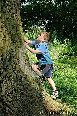 Child climbing tree