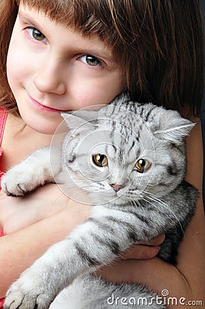 Child hugging silver white cat kitten