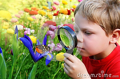 http://thumbs.dreamstime.com/x/child-observing-butterfly-8906266.jpg