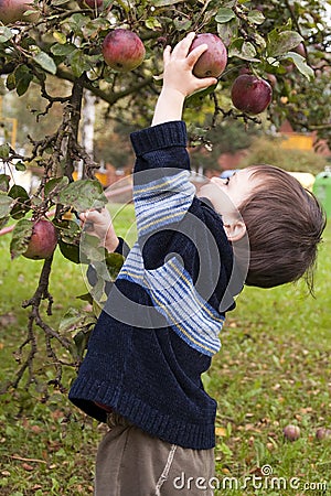 Child picking apple