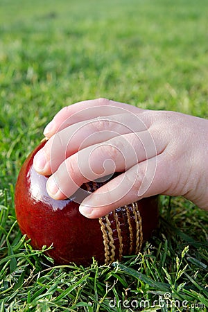 Child s hand on a cricket ball