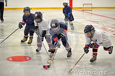 Children playing hockey