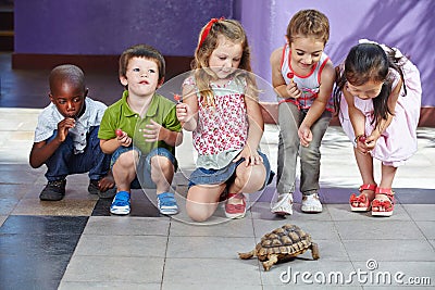 Children with turtle as pet