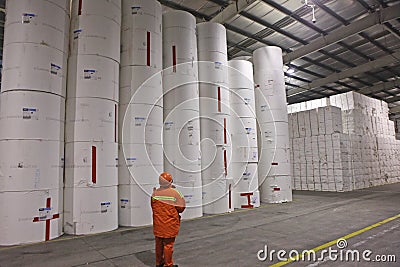 China Qingdao Port, a pulp storage warehouse workers being counted