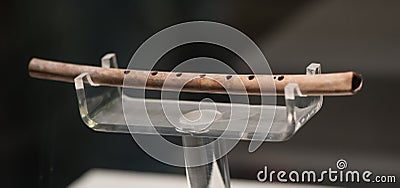 Chinese cultural relics jiahu bone flute