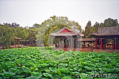 Chinese garden in summer palace, Beijing, China.