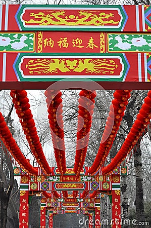 Chinese Spring Festival FU