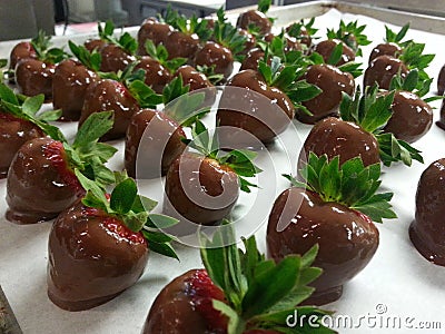 Chocolate Covered Strawberries