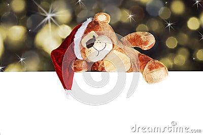 Christmas bear with white panel