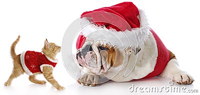 Christmas cat and dog