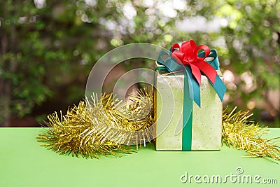 Christmas gift box in nature background