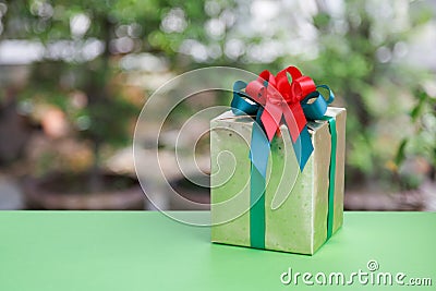 Christmas gift box in nature background
