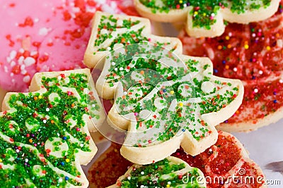 Christmas Sugar Cookies