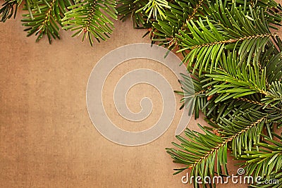 Christmas tree branches background. copy space for your text.