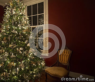 Christmas tree in front of window