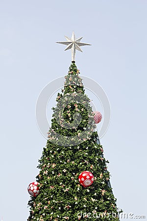 Christmas tree with ornaments