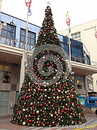 Christmas tree, Seattle downtown, shopping mall