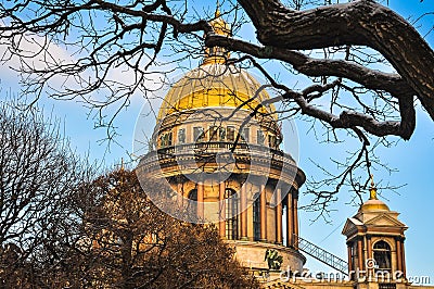 Church dome Christian Cathedral light tree branch