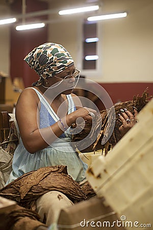 Cigar factory in Havana, Cuba