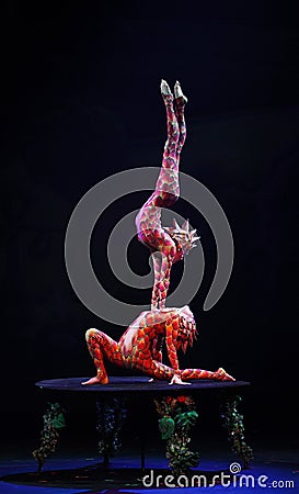 Cirque Dreams (Jungle Fantasy), heatrical acrobatic circus perfo