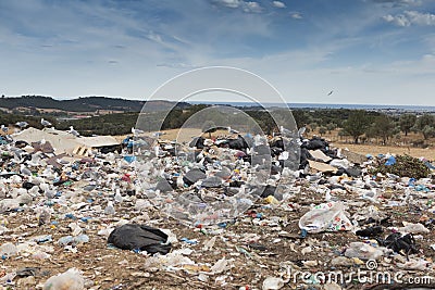 City s rubbish dump