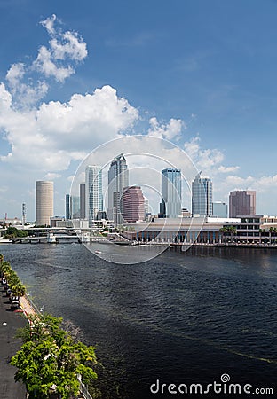 City skyline of Tampa Florida during the day