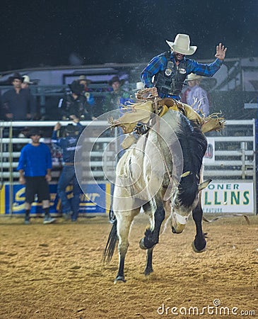 The Clark County Fair and Rodeo