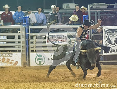 Clark County Fair and Rodeo