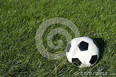 Classic Black and White Soccer Ball Football on Green Grass