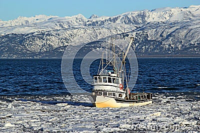 Classic fishing boat traveling through ice in the Kachemak bay near 