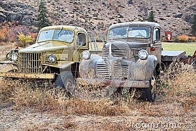 Classic Old Pickup Trucks