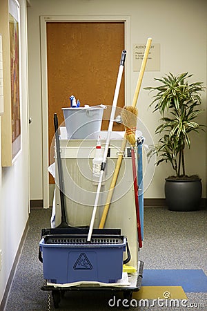 Cleaning cart