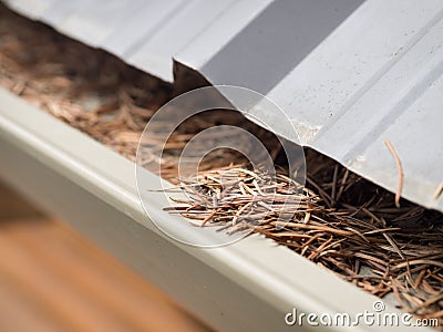 Clogged gutters