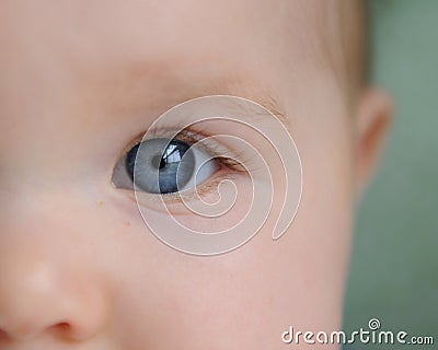 Close up of baby s face & eye