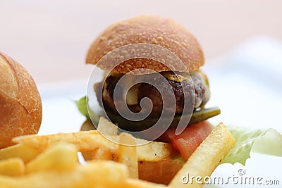 Burger and potato fry