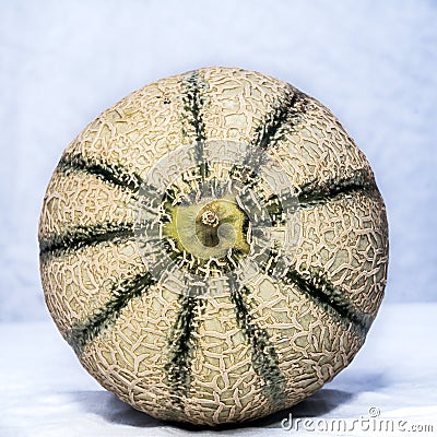Close up of cantaloupe