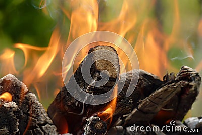 Close-up of fire burning pieces of wood on a green background