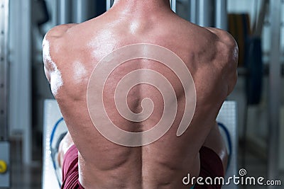 Close-Up Of A Muscular Back