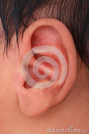 Close up of a newborn ear