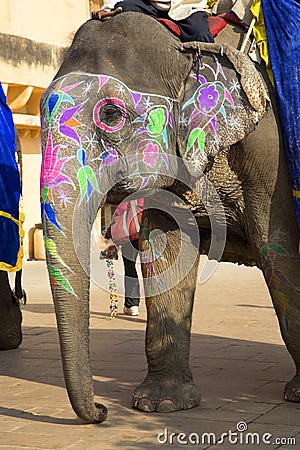 Close-up of painted indian elephant